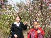 ALIM0408