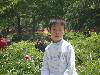 DSC00550