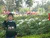 DSC00529