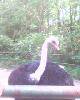 IMG0126A
