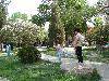 DSC05457