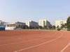 DSC02179_resize_JPG