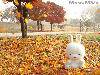 mashimaro_09_1024
