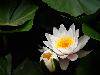 nEO_IMG_5