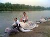 Image(070)