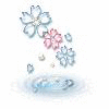 0F553202J4