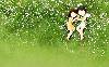 3c783365dfb0bcd1f636