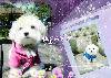 580be3002226fe2e1d95