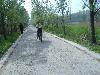 DSCF2368