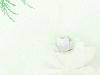 6d76cb41870f6e3f9213