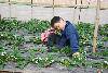 20100320070946516[1]