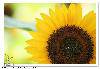 20080725_f0f81b5ebc1