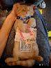 17󣬲Ҫ