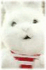 $I)M~2DHFNRBQQ01BL5{
