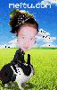ҵġ
