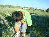 DSC08054