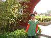 DSCN3004