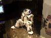 SAM_2073