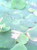 http_imgload[2]