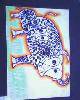 IMG0189A