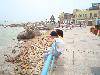 DSC00667