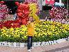 SANY0106