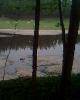 IMG0124A
