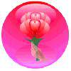 25f67ef48165734ddcc4