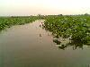 IMG0349A