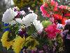 DSCN0298