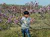 20090406655