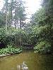 DSC02917