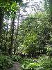 DSC02904