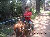 DSCN2529