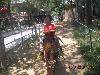DSCN2531