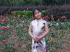 DSCF2219