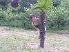 DSCF2202