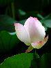 nEO_IMG_23