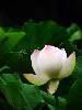 nEO_IMG_37