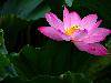 nEO_IMG_26