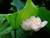 nEO_IMG_22