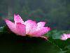 nEO_IMG_43