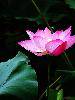 nEO_IMG_21