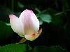 nEO_IMG_24