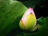 nEO_IMG_30