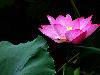 nEO_IMG_20