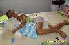 SAM_0067