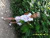SAM_0018