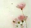 0375a7fe45566b72d788