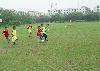 DSC08184